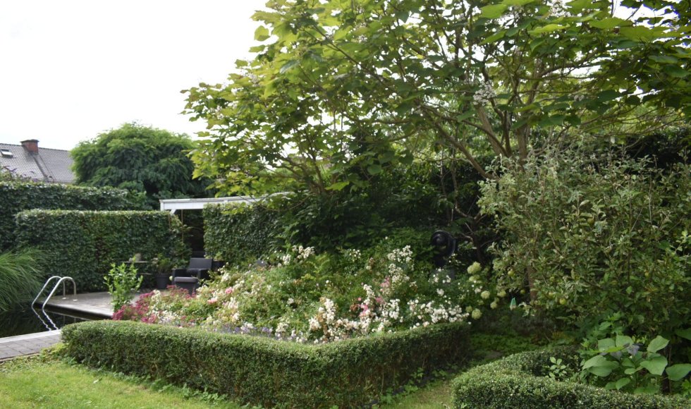 Ecologie in een woonwijk