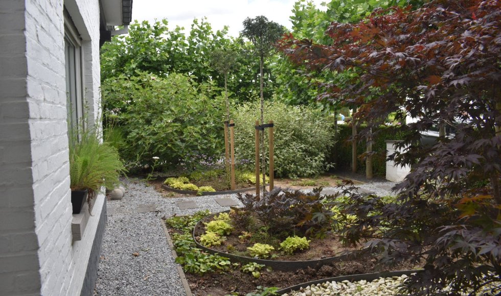 Ecologie in een woonwijk