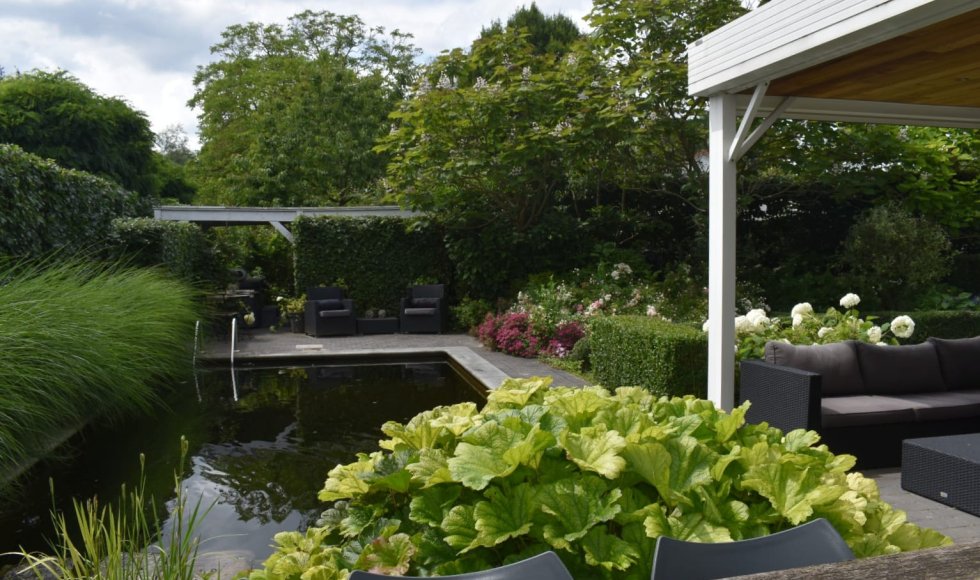 Ecologie in een woonwijk