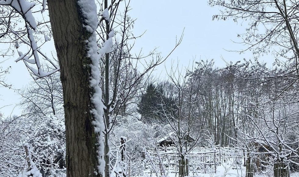 winter