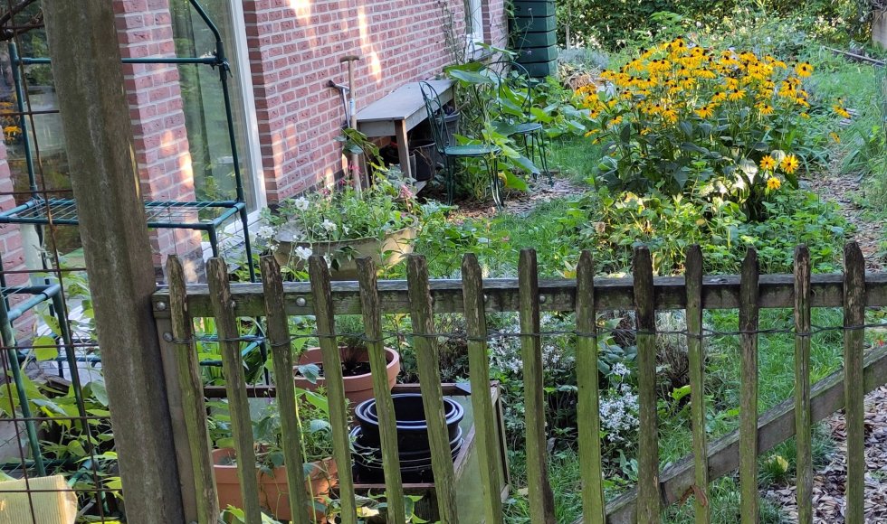 Mara's bloemenrijketuin 2