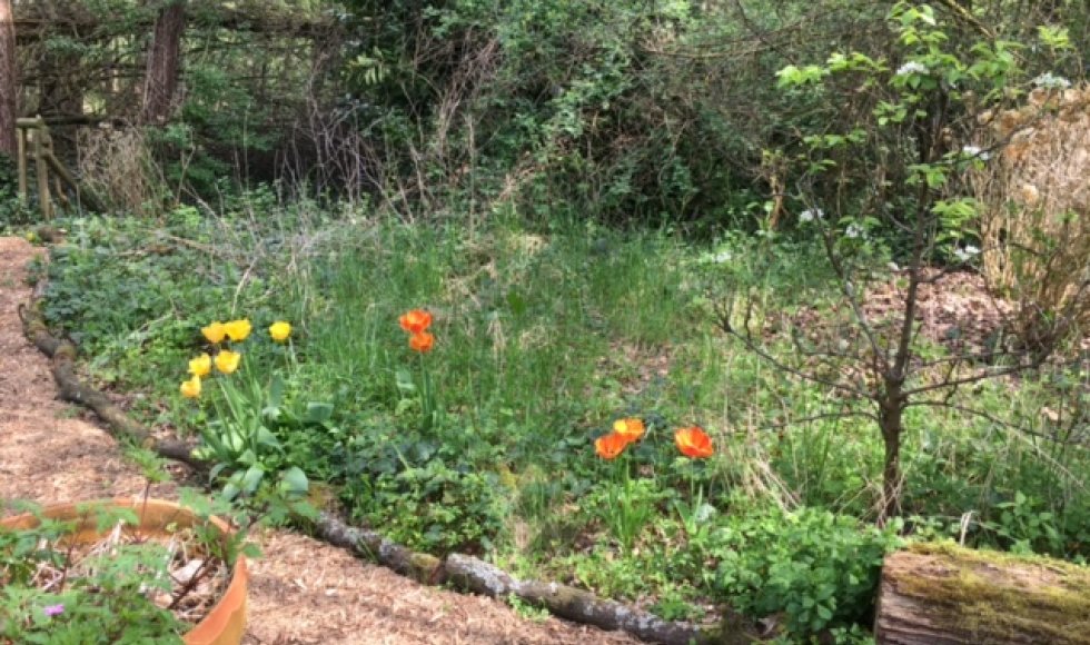 Vogel- en vlindervriendelijke kringlooptuin