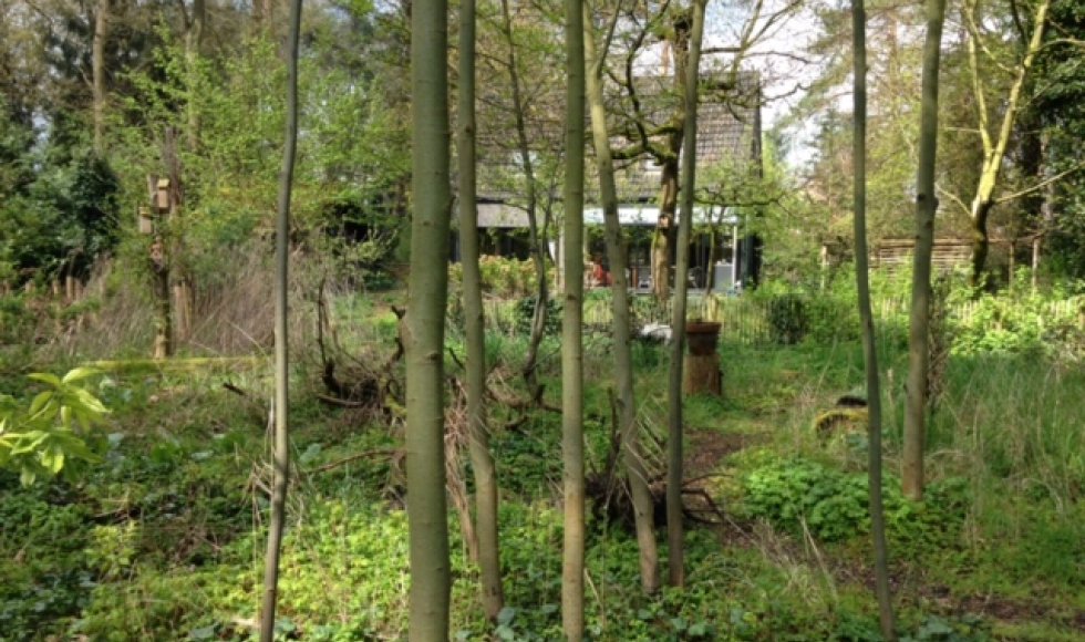 Vogel- en vlindervriendelijke kringlooptuin