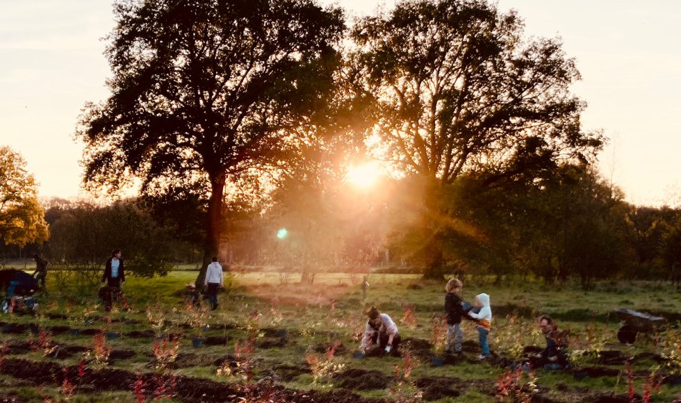 samentuin de Veldstraat