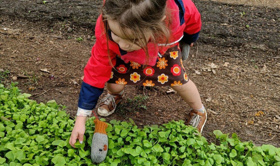 samentuin de Veldstraat