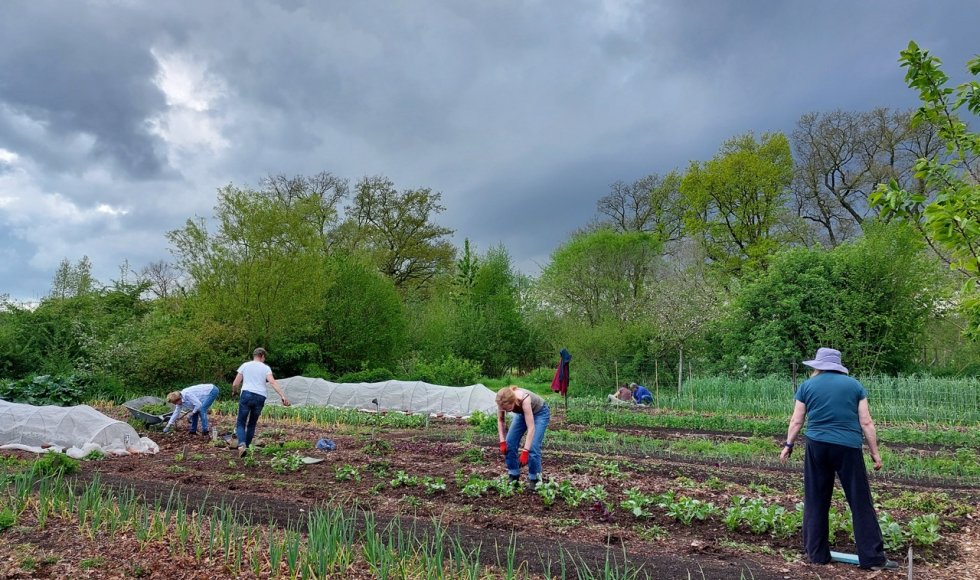 samentuin de Veldstraat