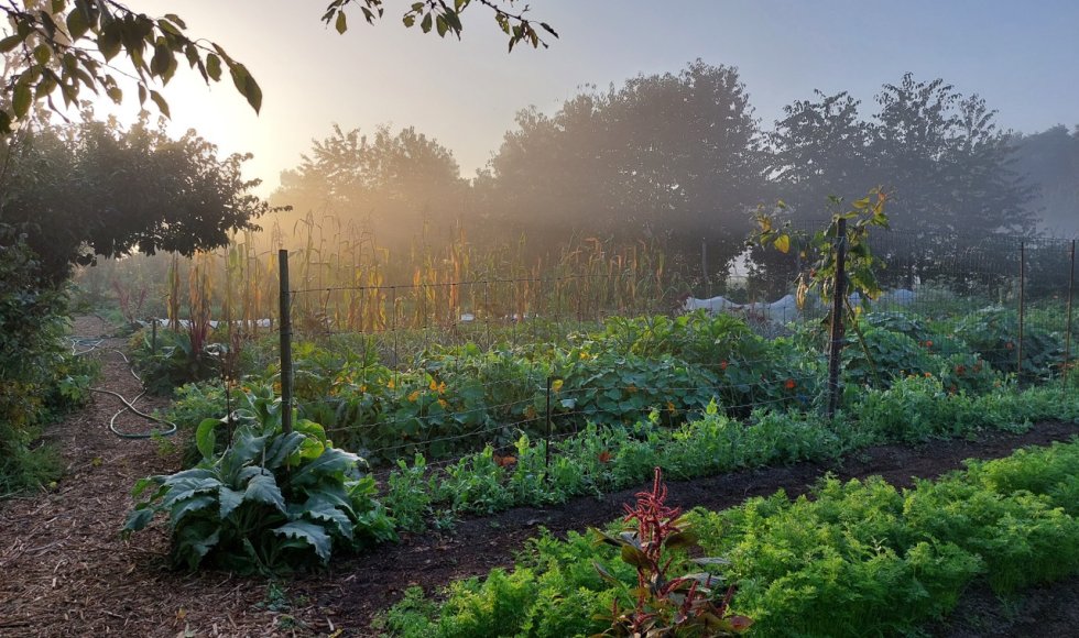 samentuin de Veldstraat