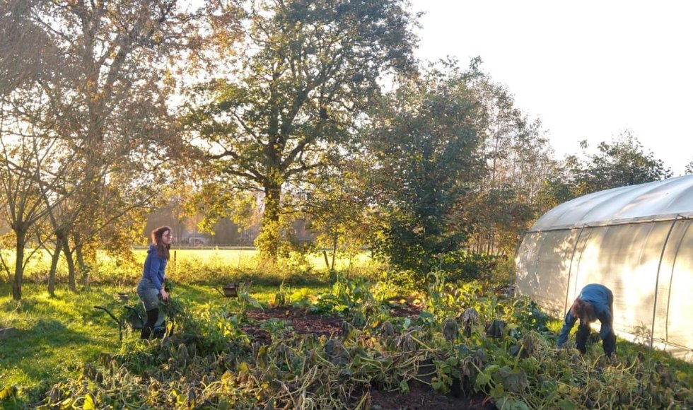 samentuin de Veldstraat