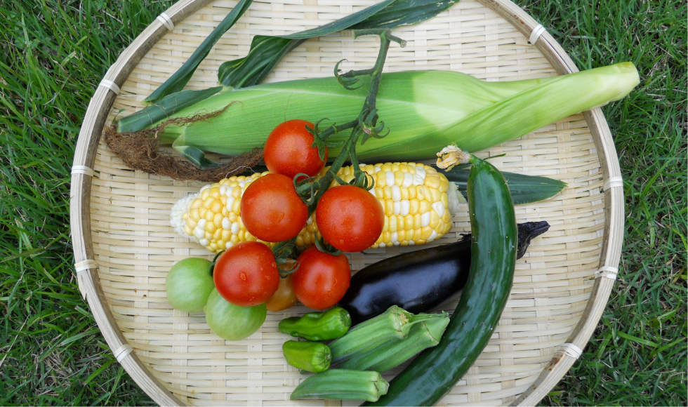 zomergroenten