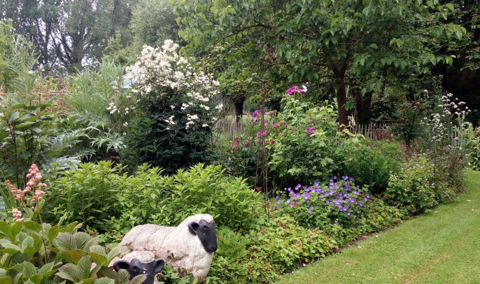 De Leeftuin van Nadine &amp; Patrick