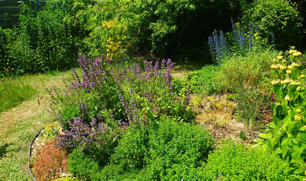 zwijnaarde Ecotuintje vzn Tineke en Mike 2