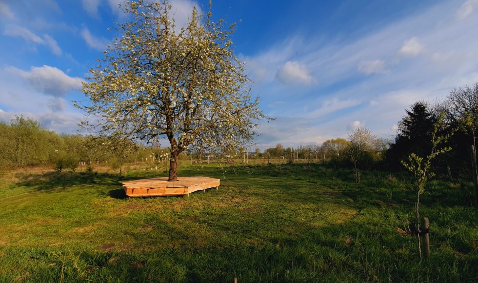 voedselbos zwijntjesbos
