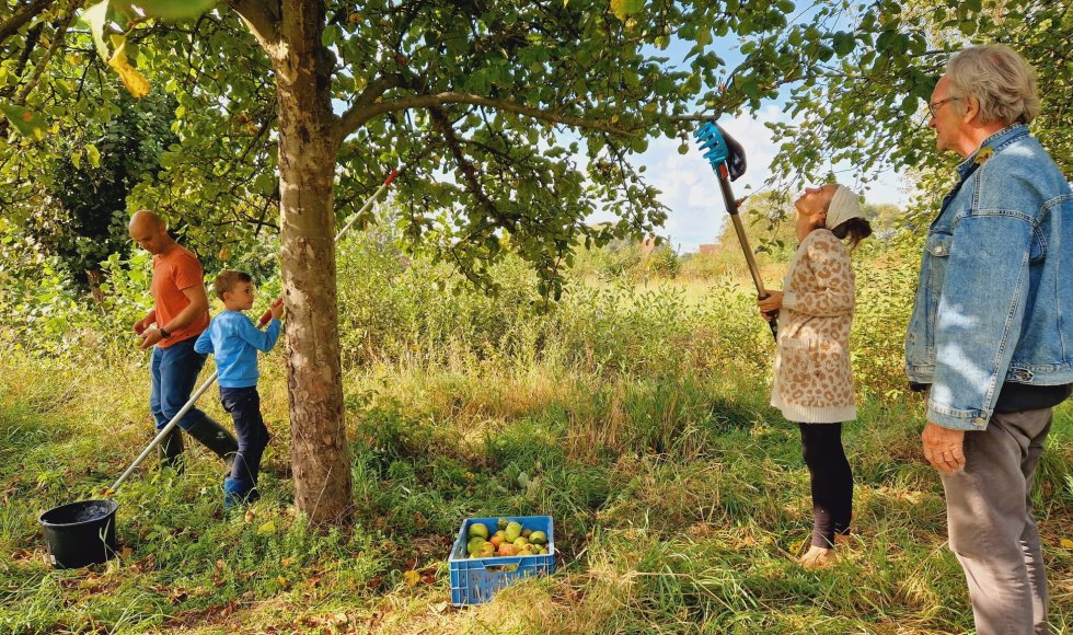 voedselbos zwijntjesbos