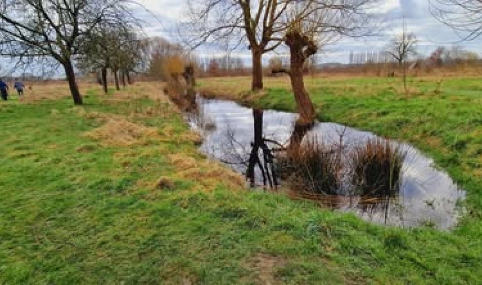 voedselbos zwijntjesbos