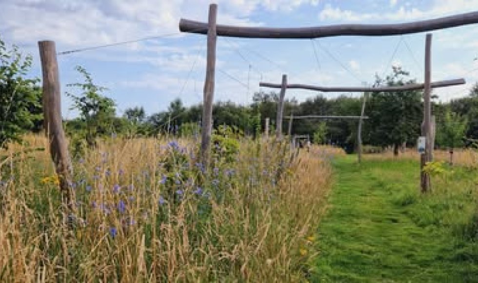 voedselbos zwijntjesbos