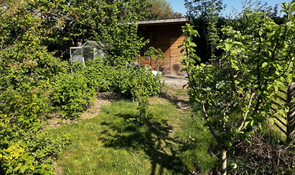 ecodroomtuin van julie &amp; jeroen