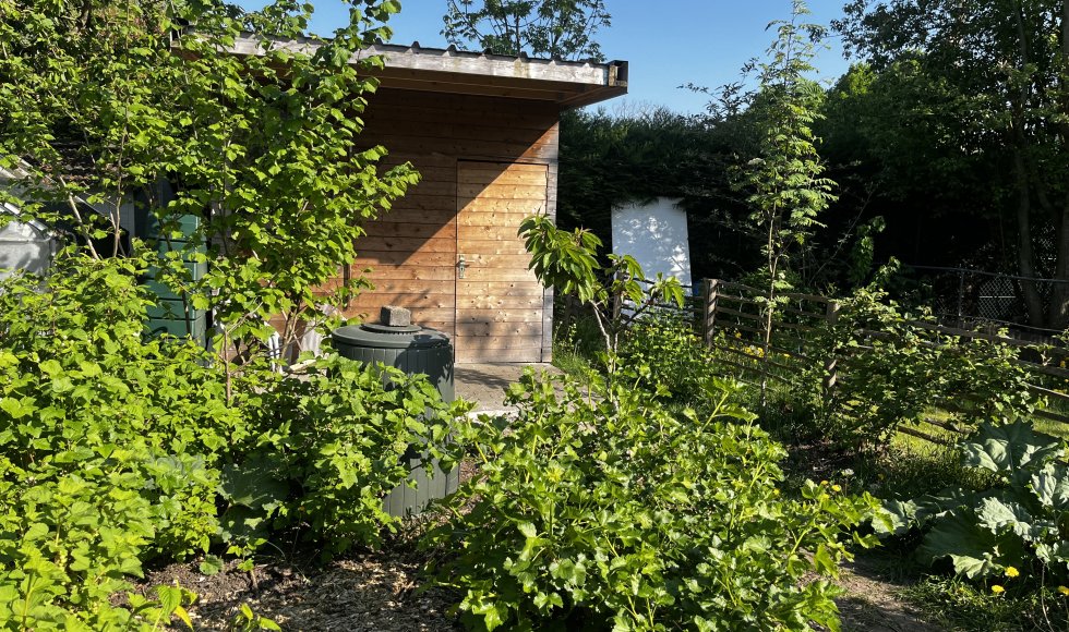 ecodroomtuin van julie &amp; jeroen