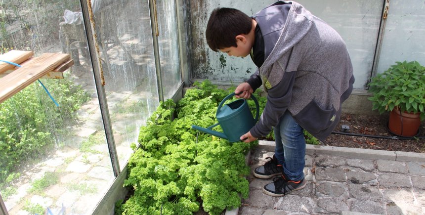 Schoolmoestuin