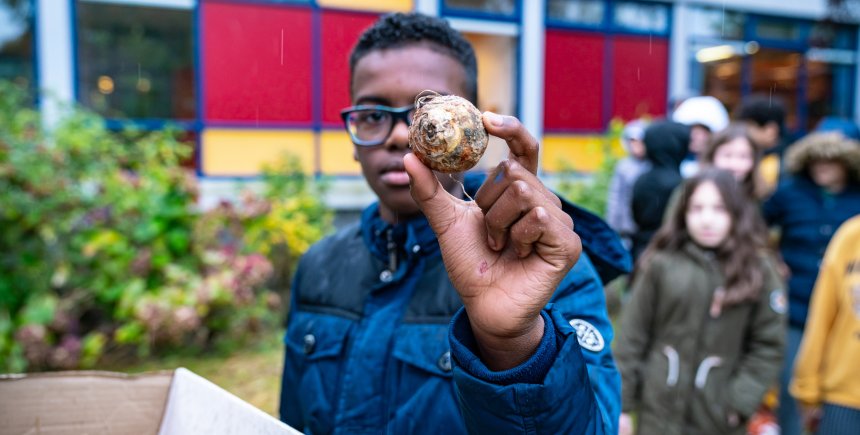 Aanplant van biologische bloembollen