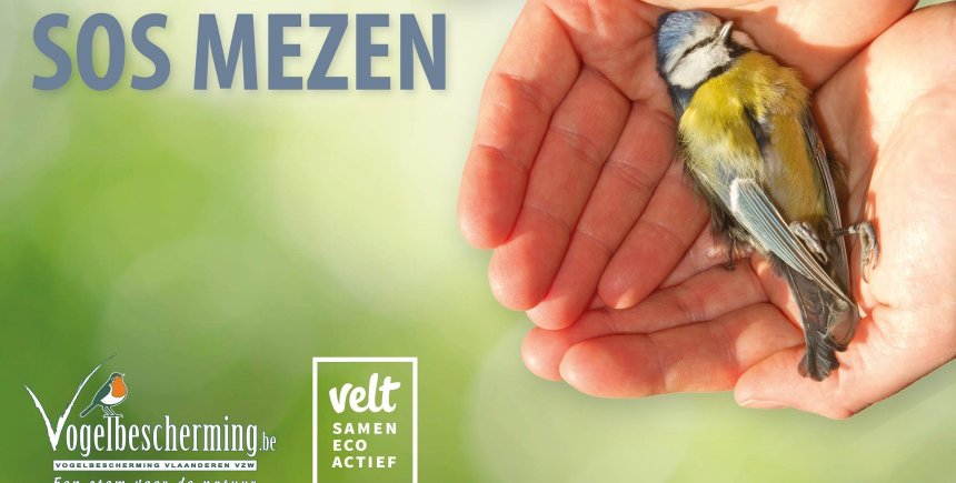 Campagnebeeld SOS Mezen
