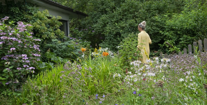 Ecologische tuin: van aanleg tot beheer