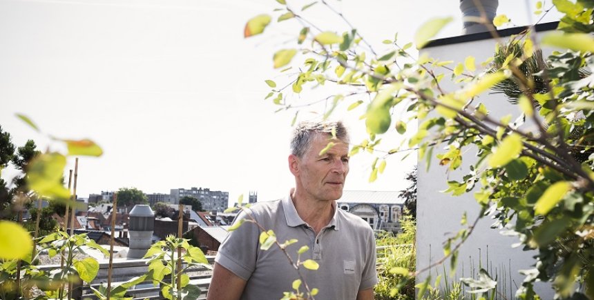 Daktuin in Antwerpen