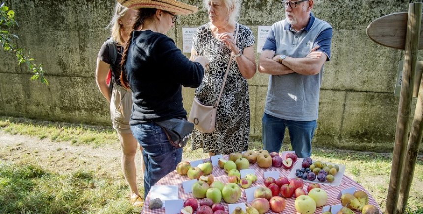 Fruitboomgaard in Etterbeek