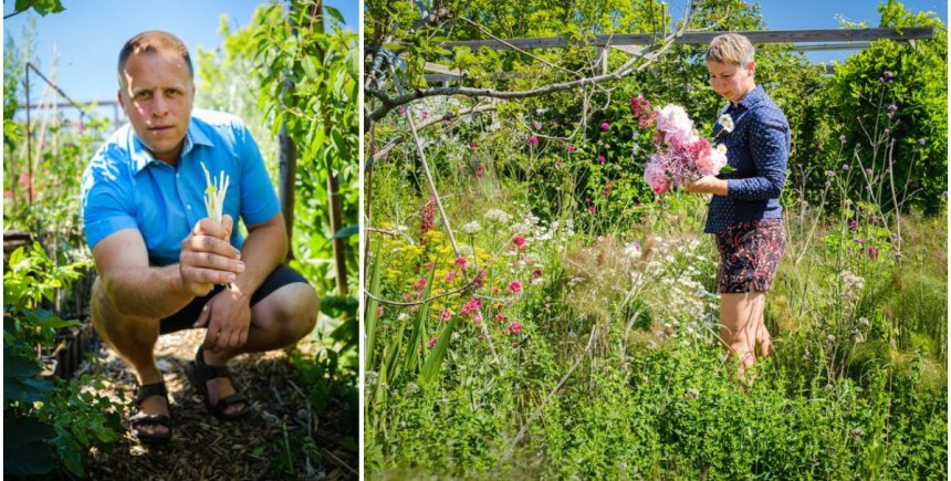 Japanse duizendknoop: Alexander en Elena