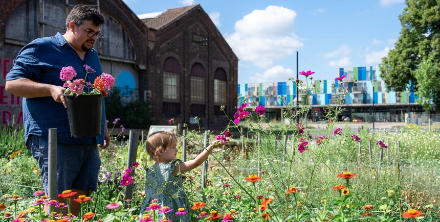Fleur locale bloemenpluktuin