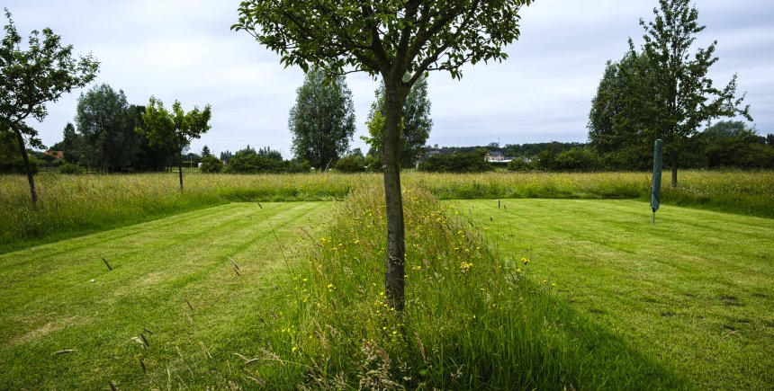 Kort en lang gras