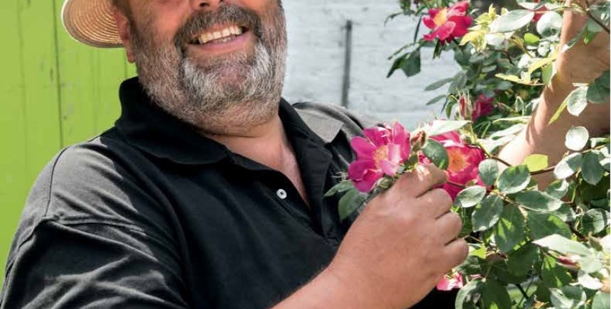 Rozenkweker Hans Van Hage