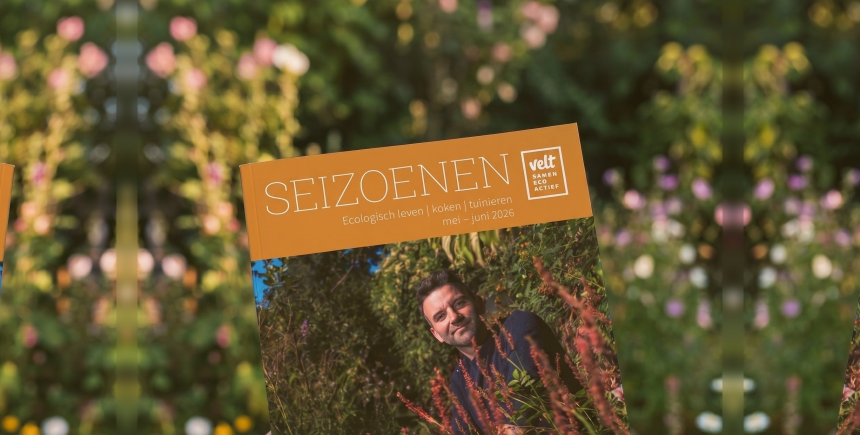 Seizoenen