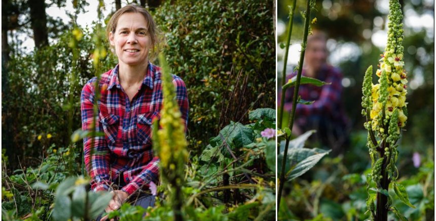 Tuinontwerpster Marleen werkt met onkruiden