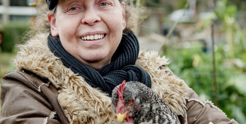 Fruitboomgaard in Brussel