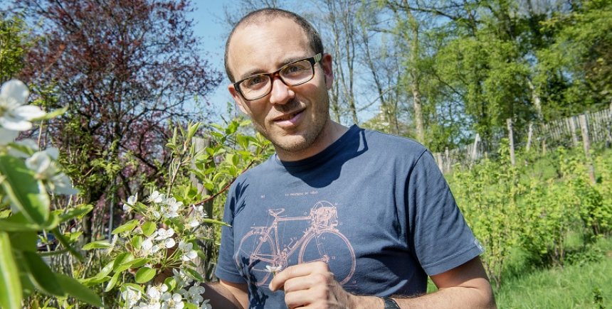 Brusselse boomgaard Refresh