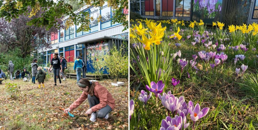 Bloembollen op school
