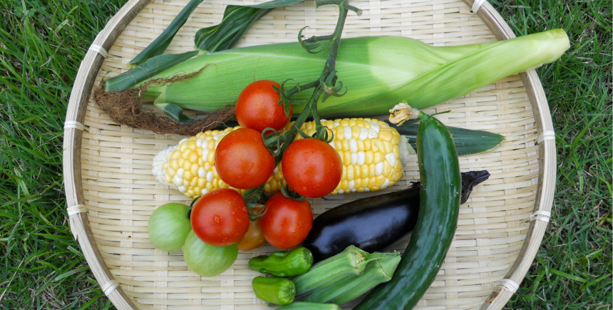 zomergroenten