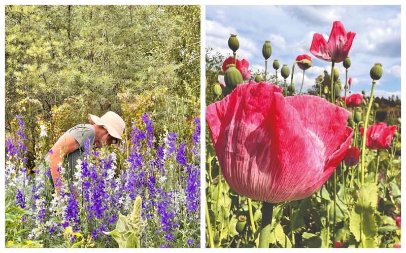 tuinen van weldadigheid