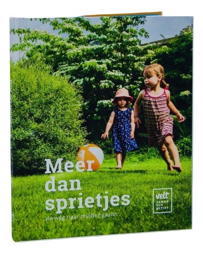 Cover Meer dan sprietes