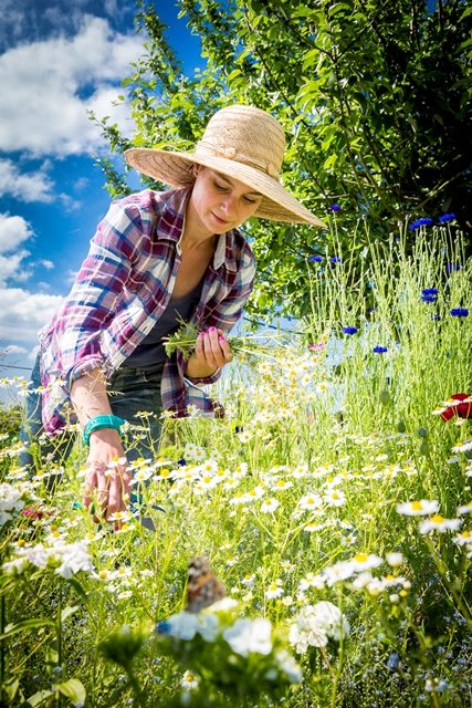 Ecologische snijbloemen