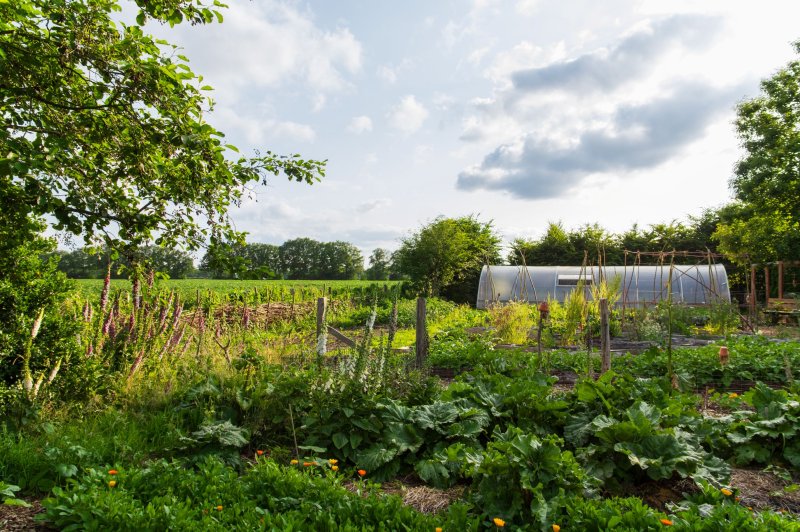 tuin van Zevenmeers Zeven