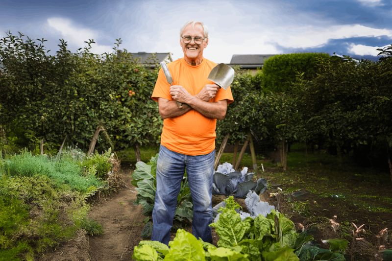 Zaaien Planten Oogsten - Jos