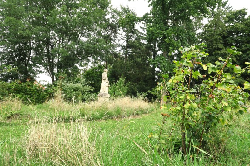 voedselbos van de hoop