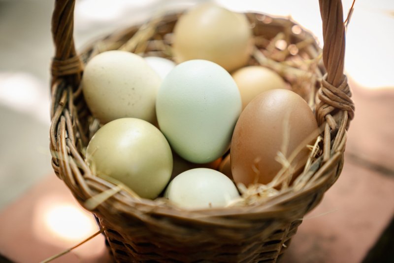 Mandje met eieren