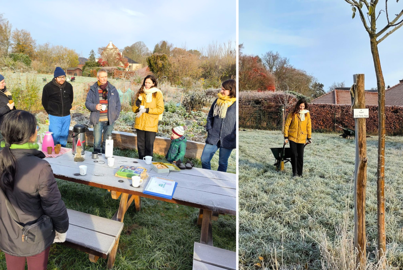 bomen planten Leuven