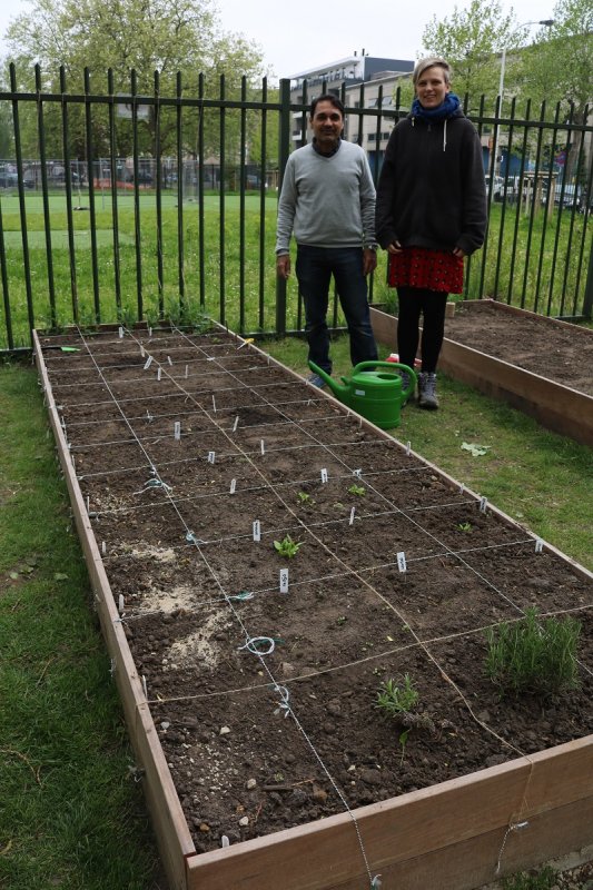 Project groene vingers en letters