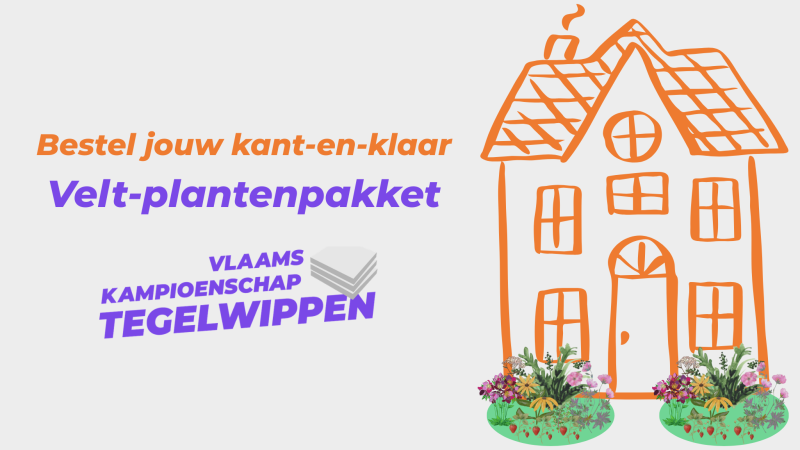 Velt-plantenpakket