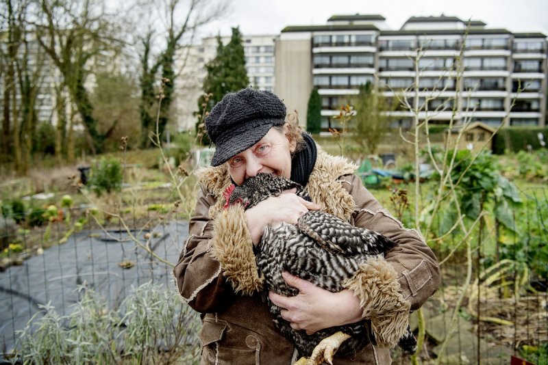Fruitboomgaard in Brussel