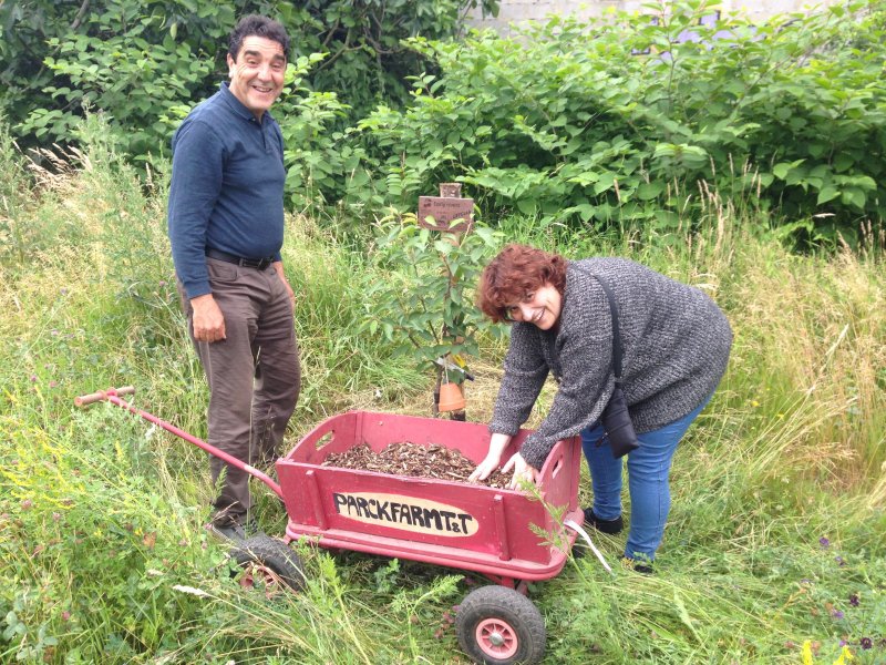 Verger partagé in Brussel