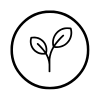 Icoon plant